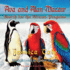 Ava and Alan Macaw Search for African Penguins (the Macaw)