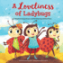 Merriam-Webster Kids-a Loveliness of Ladybugs, Collective Animal Nouns and the Meanings Behind Them (Wonderful Words)