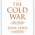 The Cold War: a New History