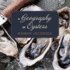 A Geography of Oysters: the Connoisseurs Guide to Oyster Eating in North America
