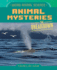 Animal Mysteries