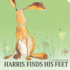 Harris Finds His Feet (Tiger Tales)