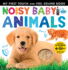 Noisy Baby Animals: My First Touch and Feel Sound Book