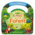 Smithsonian Kids: a Walk in the Forest