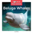 Beluga Whales (Zoom in on: Polar Animals)