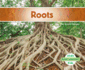 Roots