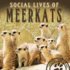 Social Lives of Meerkats (Animal Behaviors)