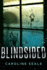 Blindsided: a Novel