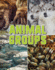 Animal Groups (Science Alliance)