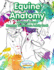 Equine Anatomy: Advanced Horse Drawing Techniques Activity Book