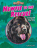 Newfie to the Rescue! : a Lifeguard Dog Story (Hound Town Chronicles)