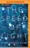 The Speed of Light: a Novel