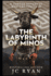 The Labyrinth of Minos (a Carter Devereux Mystery Thriller)