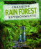 Changing Rain Forest Environments (Human Impact on Earth: Cause and Effect)