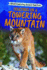 Creatures on a Towering Mountain (Wild! Exploring Animal Habitats)