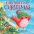 Little Bird Finds Christmas: a Sweet Christian Holiday Story (Marianne Richmond)