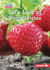 Let's Look at Strawberries Format: Paperback