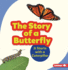 The Story of a Butterfly: It Starts With a Caterpillar (Step By Step)