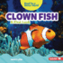 Clown Fish Format: Library Bound