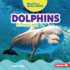 Dolphins Format: Library Bound