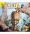 Cheetah: Chita? Rourke Spanish Reader, Grades Pk? 2 (Animales Africanos (African Animals)) (Spanish Edition)