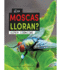 Las Moscas Lloran? : Does a Fly Cry?