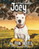 A Pitbull Named Joey 1