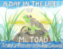 A Day in the Life of Mr. Toad