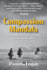 Compassion Mandala the Odyssey of an American Charity in Contemporary Tibet