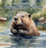 Beaver Builds a Wetland: Beaver Builds a Wetland: Woodland of Wonders Series: a Young Beaver Uses Its Skills to Create a Dam That Transforms a Simple River Into a Complex Ecosystem Called a Wetland