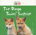 The Dingo Twins' Surprise