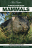 A Wild Australia Guide: Mammals