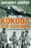 Kokoda Air Strikes Allied Air Forces in New Guinea, 1942
