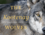 The Kootenay Wolves: Five Years Following a Wild Wolf Pack