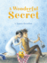 A Wonderful Secret Format: Hardcover