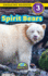 Spirit Bears: Animals That Make a Difference! (Engaging Readers, Level 3)