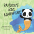 Pandou's Big Adventure: No Matter What, If You Are Brave and Don't Give Up You Can Always Find a Friend