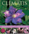 Clematis: an Illustrated Guide to Varieties, Cultivation and Care