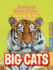 Big Cats (Animal Detectives)