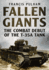 Fallen Giants the Combat Debut of the T35a Tank