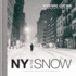 New York in the Snow