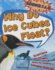 Why Do Ice Cubes Float? (Science F.a.Q. )