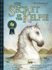 The Secret of the Kelpie (Picture Kelpies: Traditional Scottish Tales)