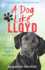 Dog Like Lloyd, a