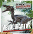 Velociraptor All About Dinosaurs