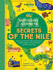 Unfolding Journeys-Secrets of the Nile (Lonely Planet Kids)