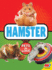 Hamster