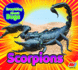 Scorpions