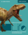 Prehistoric Life: An Examination of the History of Life and Evolution