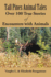 Tall Pines Animal Tales: Over 100 True Stories of Encounters with Animals